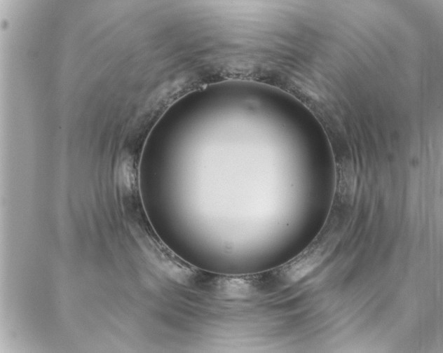 X0000088430287200705221255