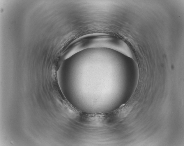 X0000088430288200705221255