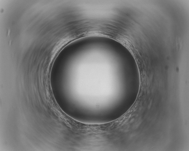 X0000088430289200705221254