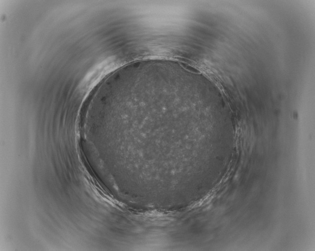 X0000088430290200705221254