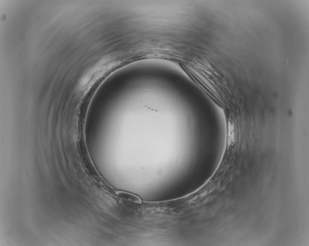 X0000088430291200705221254