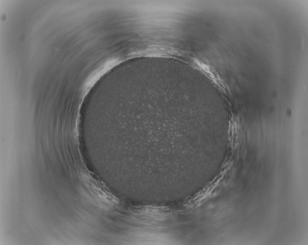 X0000088430292200705221254