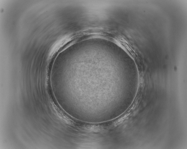 X0000088430293200705221254