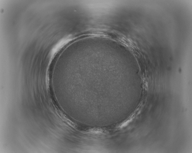 X0000088430294200705221254