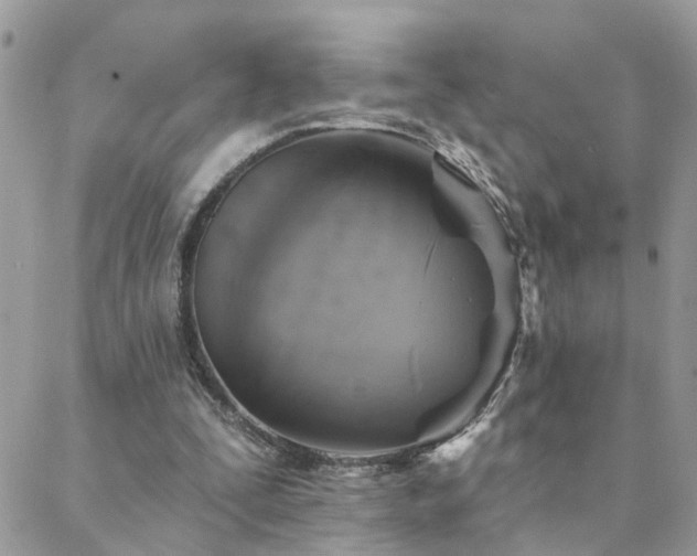 X0000088430295200705221254