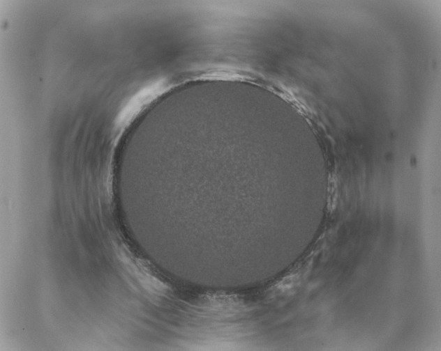 X0000088430296200705221254