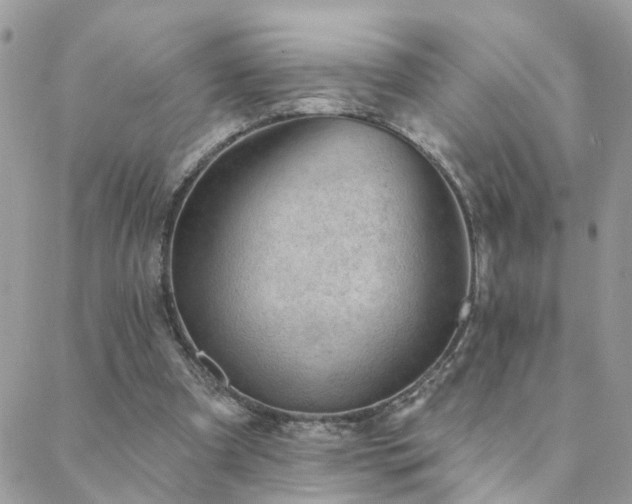 X0000088430297200705221254