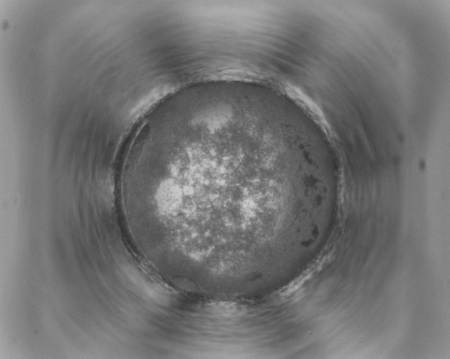 X0000088430298200705221254