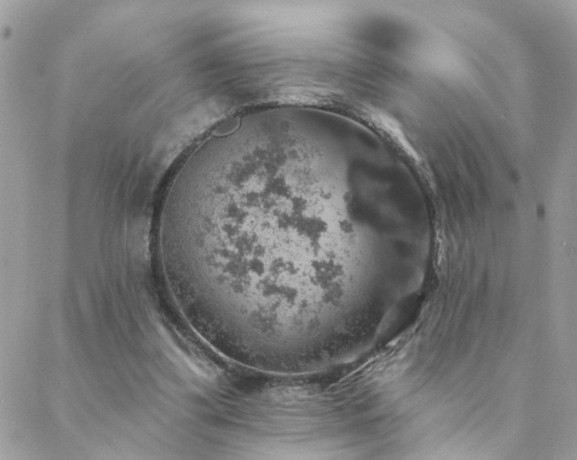 X0000088430299200705221254