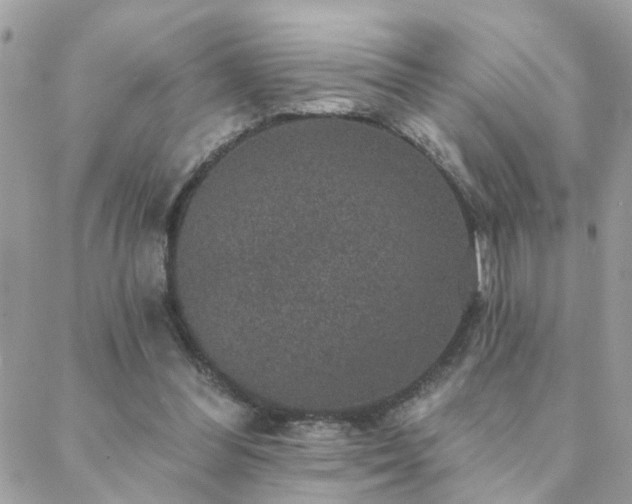 X0000088430300200705221254