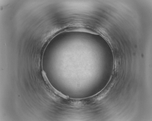 X0000088430301200705221254