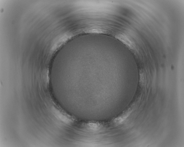 X0000088430302200705221254