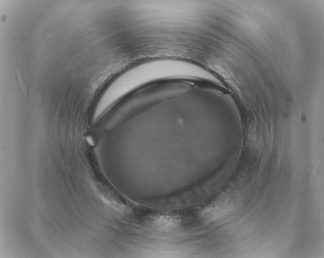 X0000088430303200705221254