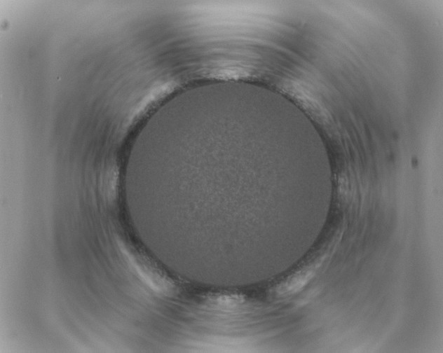 X0000088430304200705221254