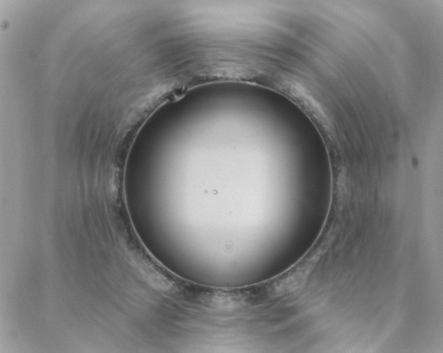 X0000088430305200705221254