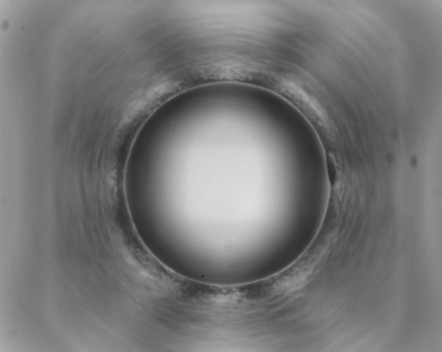 X0000088430306200705221254