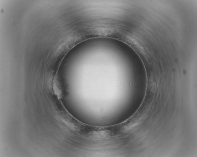 X0000088430307200705221254