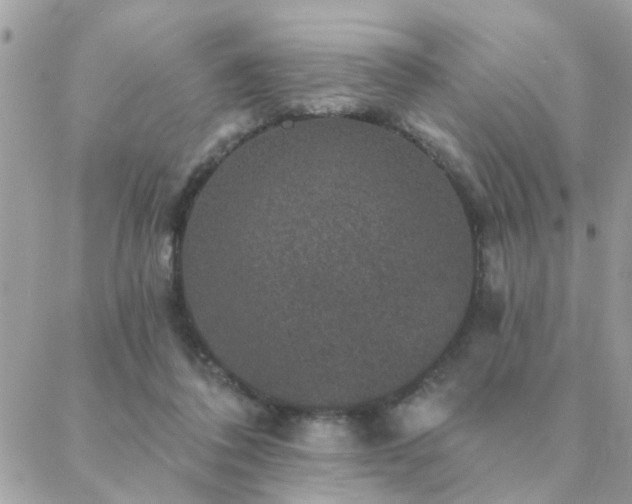 X0000088430308200705221254