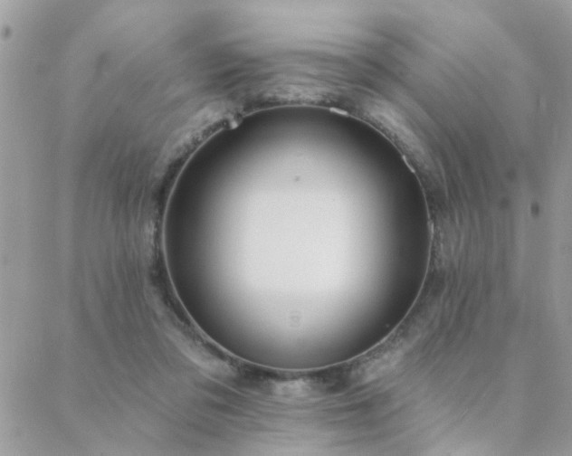 X0000088430309200705221254