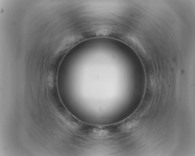 X0000088430311200705221254