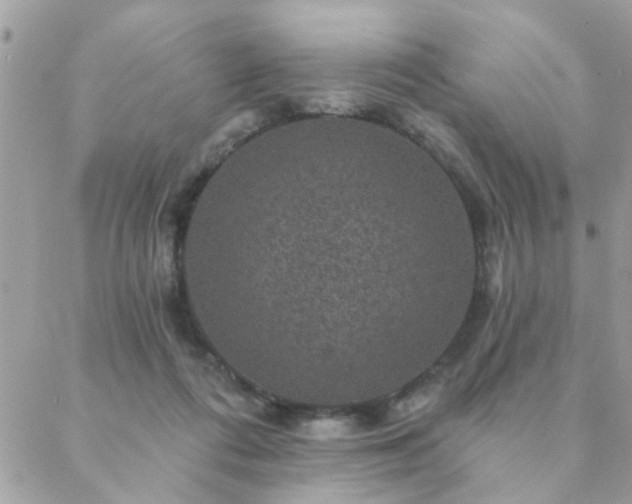 X0000088430312200705221254