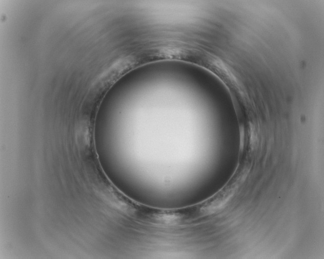 X0000088430313200705221254