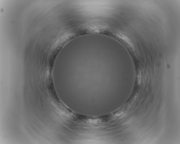 X0000088430314200705221254