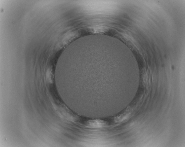 X0000088430316200705221254