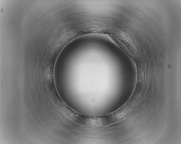 X0000088430317200705221254