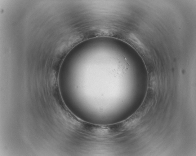 X0000088430318200705221254