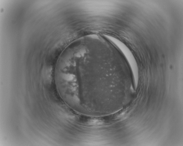 X0000088430319200705221254