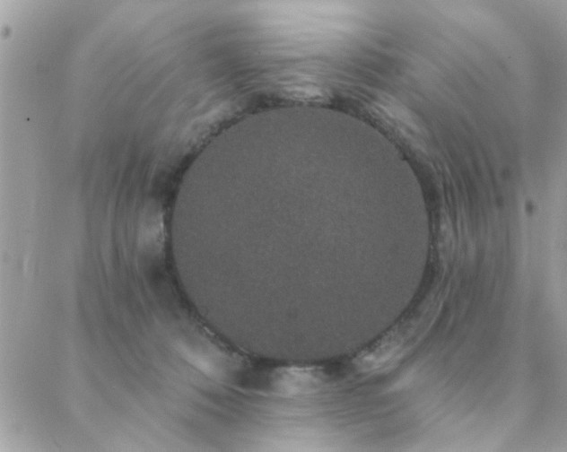 X0000088430320200705221254