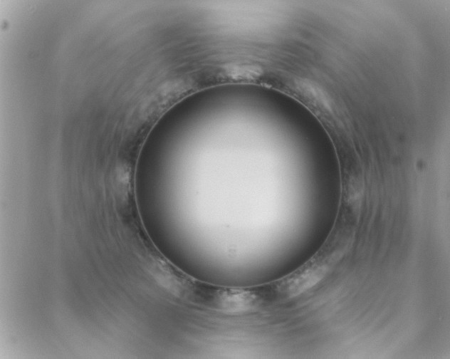 X0000088430321200705221253