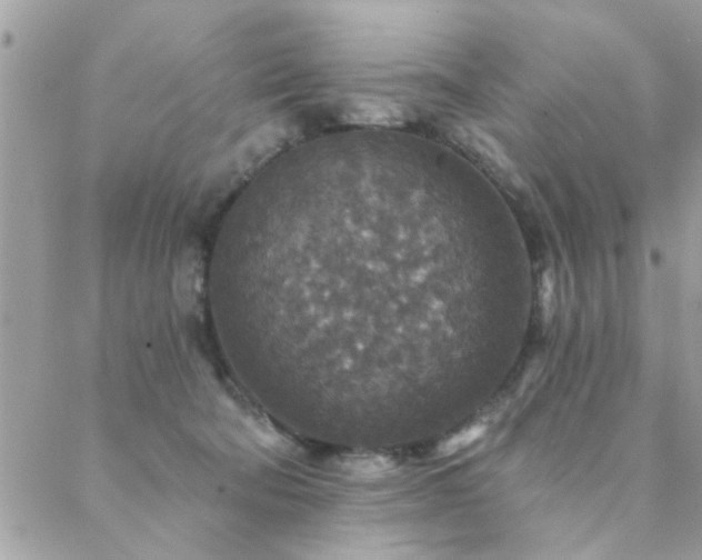 X0000088430322200705221253