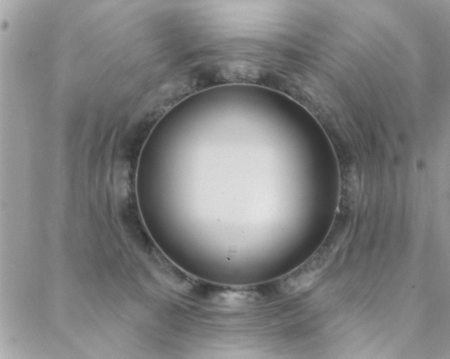 X0000088430323200705221253