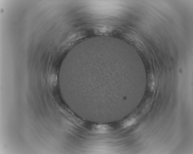 X0000088430324200705221253