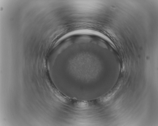 X0000088430325200705221253