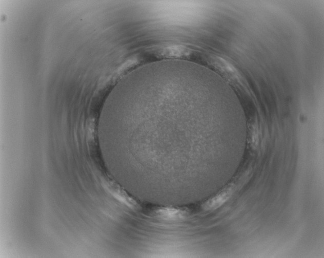 X0000088430326200705221253