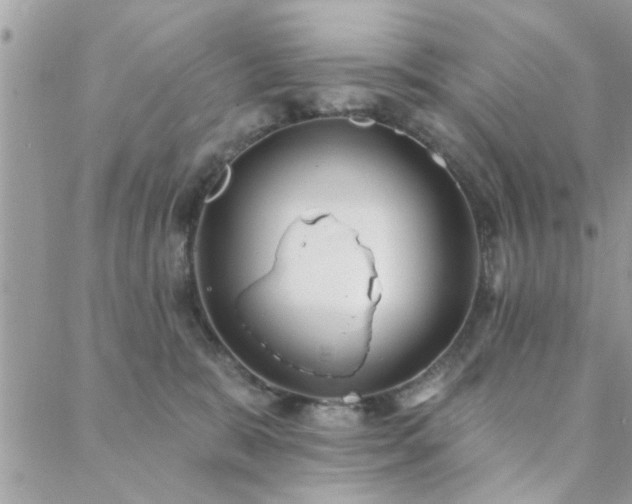 X0000088430327200705221253