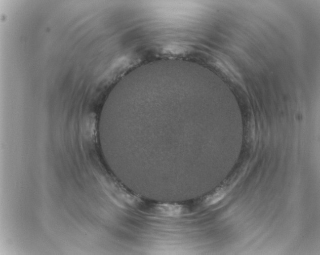 X0000088430328200705221253