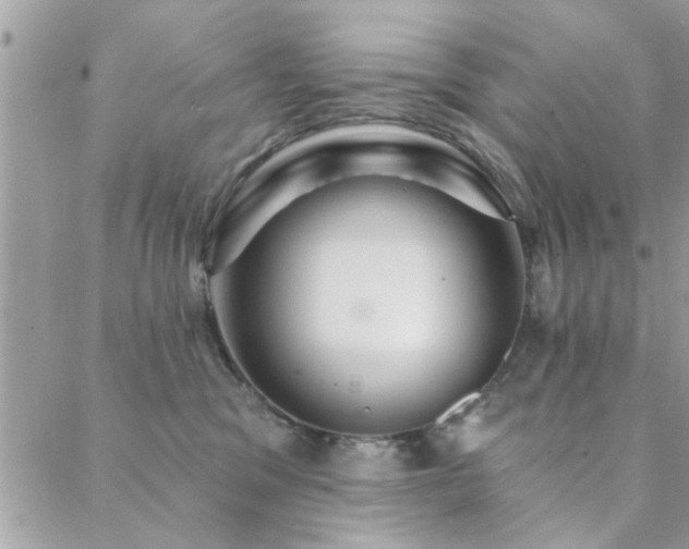 X0000088430329200705221253