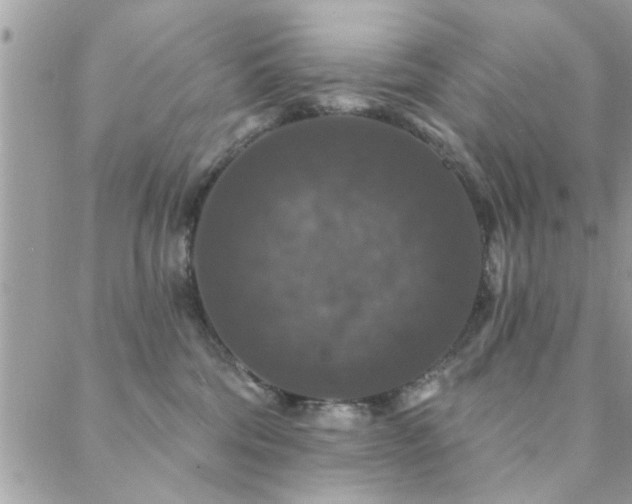 X0000088430330200705221253