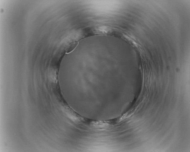 X0000088430331200705221253