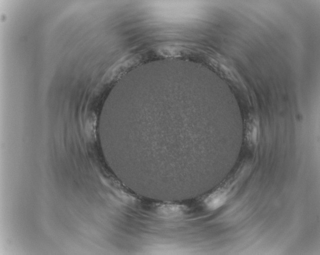 X0000088430332200705221253