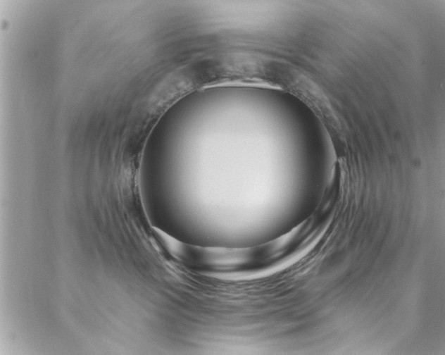 X0000088430333200705221253