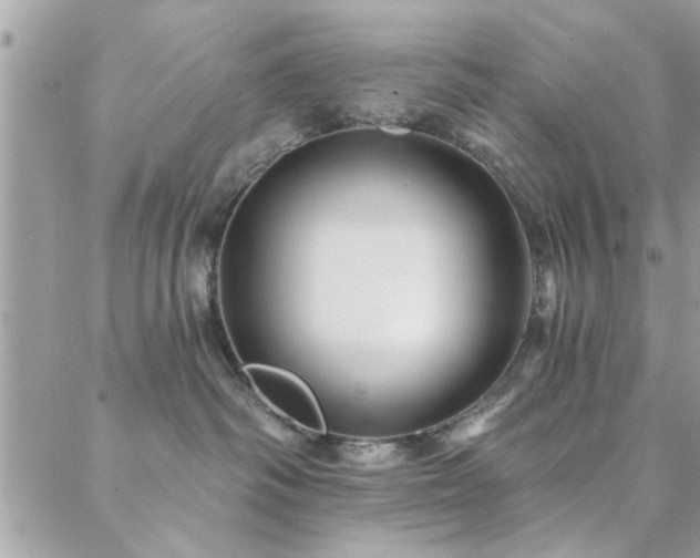 X0000088430334200705221253