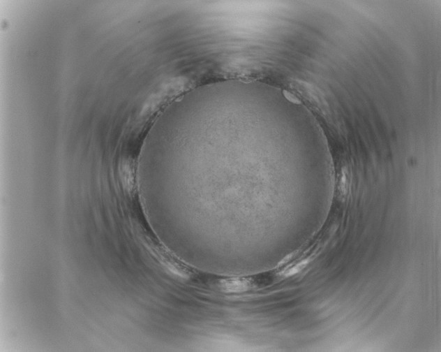 X0000088430335200705221253