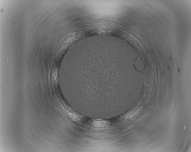 X0000088430336200705221253