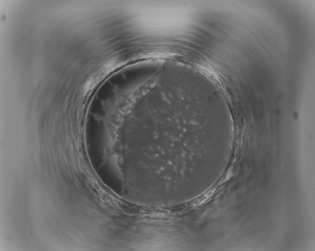 X0000088430337200705221252