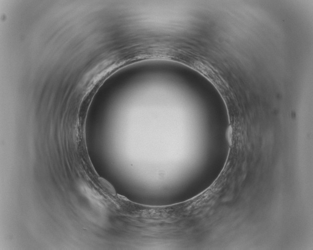 X0000088430338200705221252